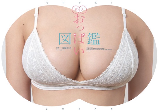 oppai zukan full-sized gravure idol breasts bust