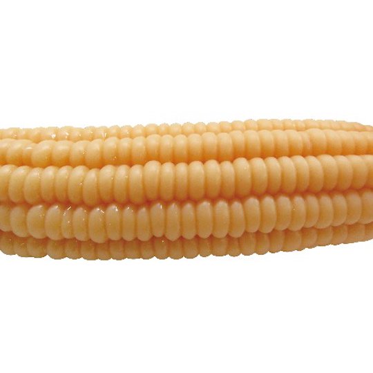 sweet corn cob kernel cock dildo sex toy