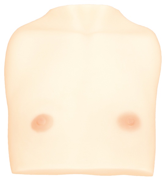 japanese flat chest fetish tiny-breasts bust hinnyu fetish toy