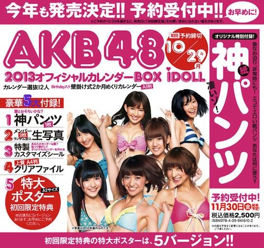 akb48 idol calendar 2013 panties underwear