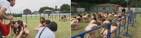 human farm girl horserace japanese porn soft on demand