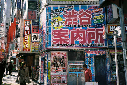 shibuya muryo annaisho baby doll pet shop dougenzaka