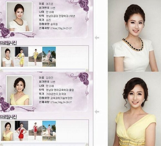 miss korea 2013 entry look same plastic surgery