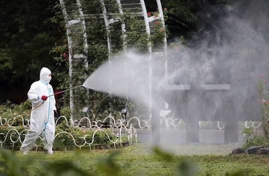 dengue fever outbreak tokyo yoyogi park