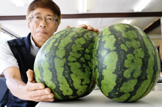 japan watermelon shape butt ass double twin futago suika