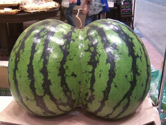 japan watermelon shape butt ass double twin futago suika