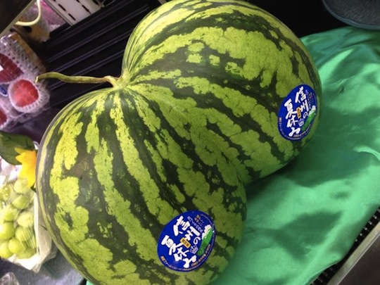 japan watermelon shape butt ass double twin futago suika