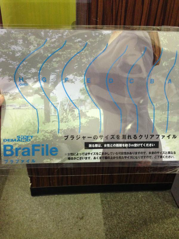 brafile soft on demand bust checker breast folder file