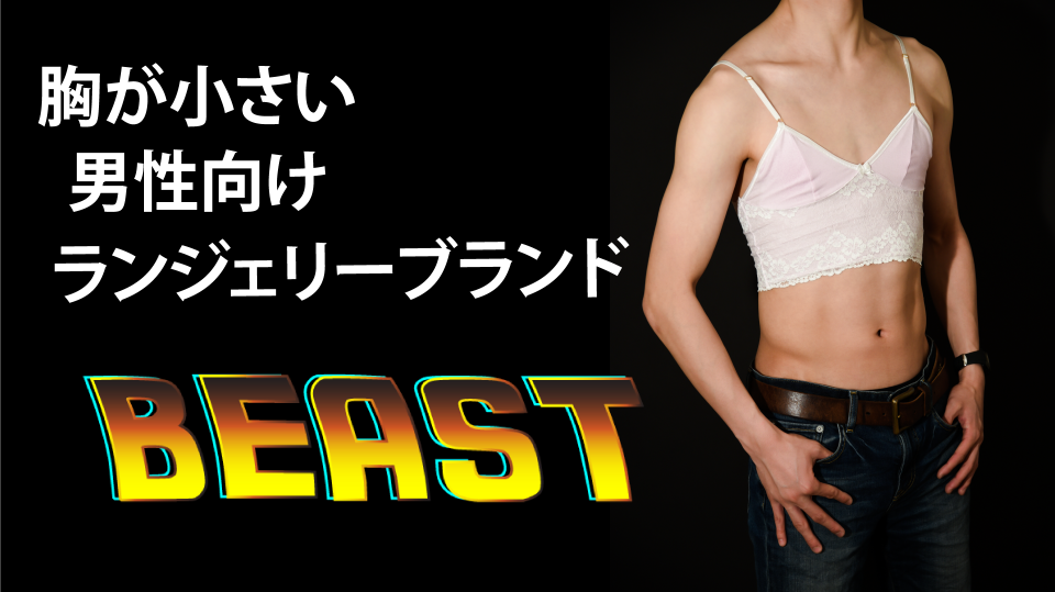 beast gomi hayakawa lingerie male underwear