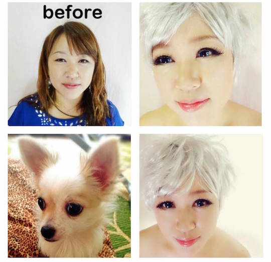 japan cross-dresser transgender josoko josou otoko-no-ko tokyo clinic makeup service pet dog chihuahua