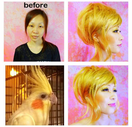 japan cross-dresser transgender josoko josou otoko-no-ko tokyo clinic makeup service pet parrot bird