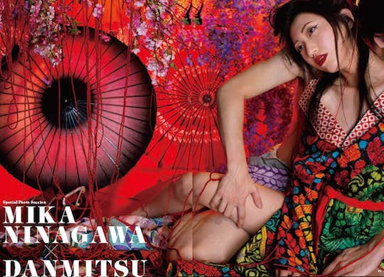 bijutsu techo dan mitsu mika ninagawa shunga