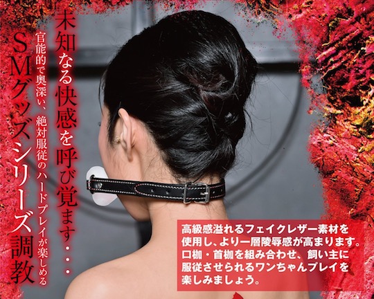 japanese girl dog collar slave bondage
