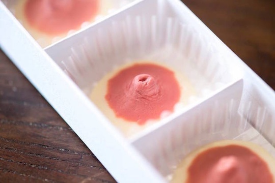 choconip nipple breast white chocolate japan makoto aida artist valentine's day