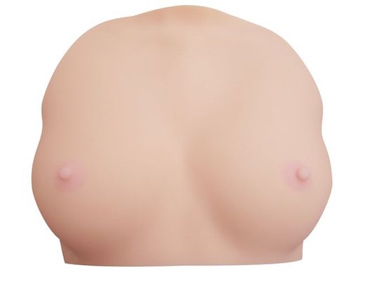 ayaka tomoda 3d scanned breasts bust toy clone