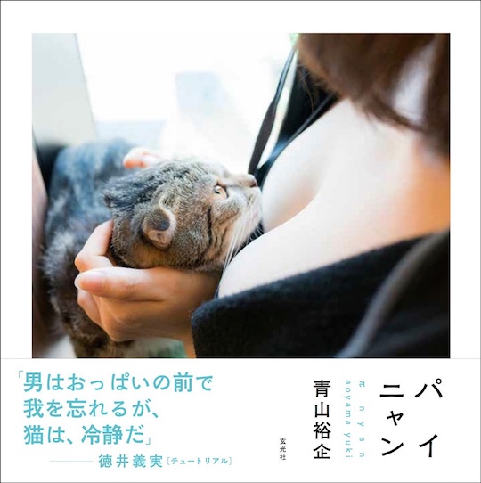 yuki aoyama japanese photographer cats breasts painyan