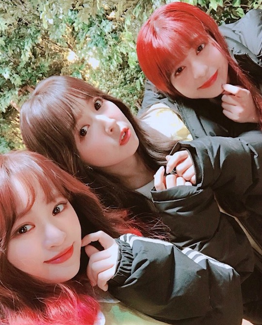 honey popcorn k-pop group music yua mikami risako okada miko matsuda yu ito moko sakura momona kito debut release adult video porn stars