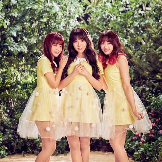 honey popcorn k-pop group music yua mikami risako okada miko matsuda yu ito moko sakura momona kito debut release adult video porn stars