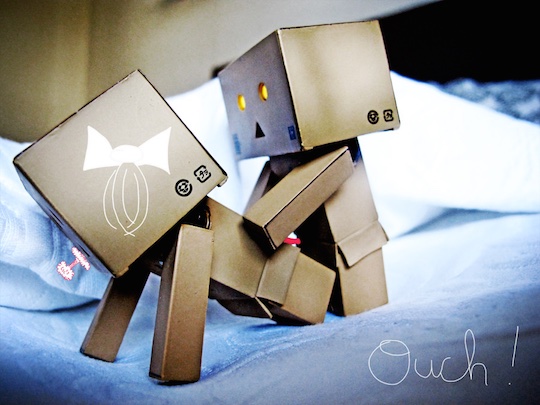 danbo danboard sex couple meme japanese