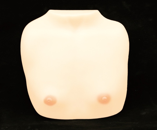 japanese flat chest fetish tiny-breasts bust hinnyu fetish toy