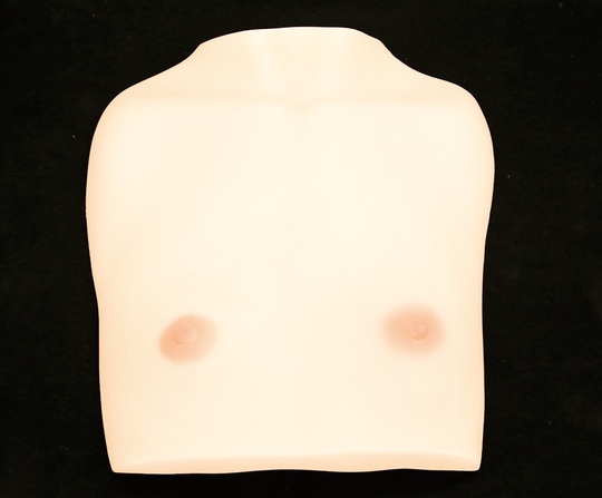 japanese flat chest fetish tiny-breasts bust hinnyu fetish toy