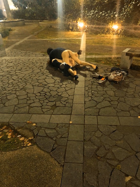 Couple filmed having sex in public park in rural Japan during the New Year holidays pic pic