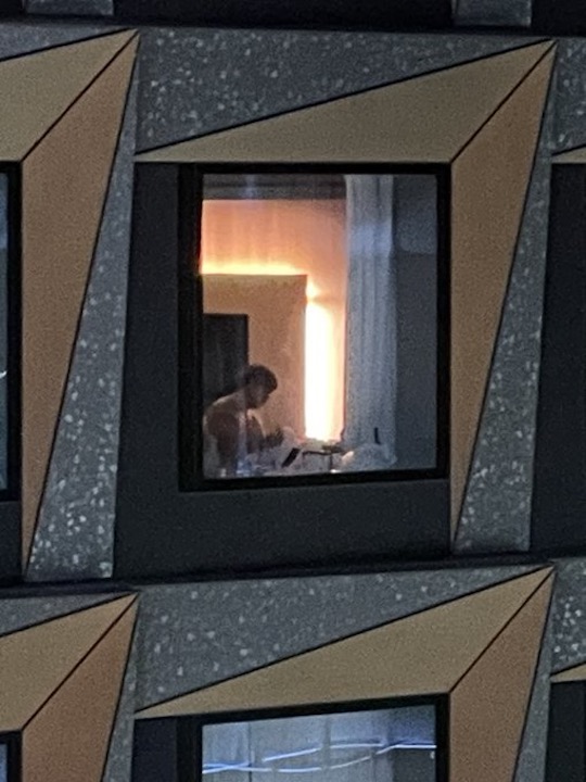 japan tokyo hotel window sex couples