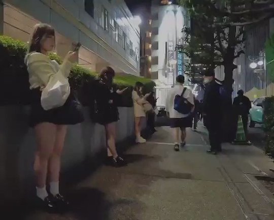 japan visible streetwalker prostitutes tokyo kabukicho