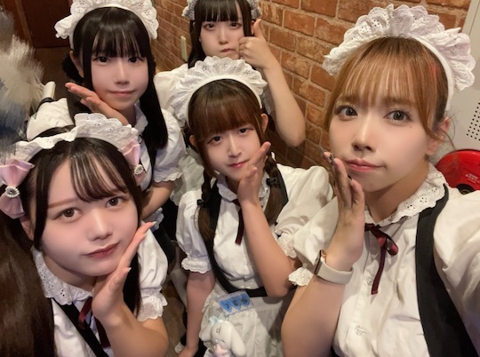 japan concafe concept cafe maid cosplay theme